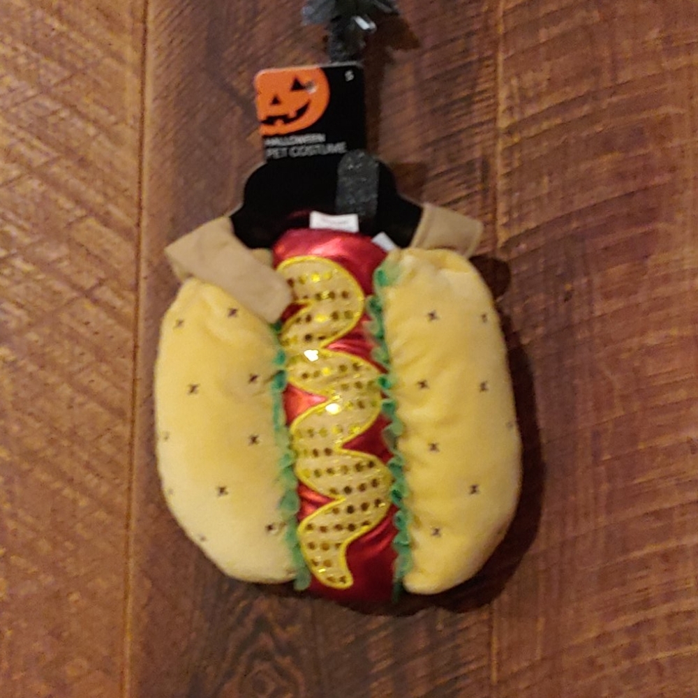 Pet costume